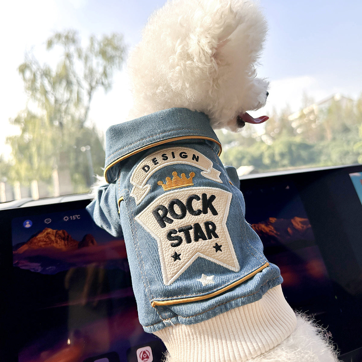 Chic Denim Dog Jacket for Small Breeds - Cozy & Stylish Pet Apparel with Snap Closure, Perfect for Fall/Winter