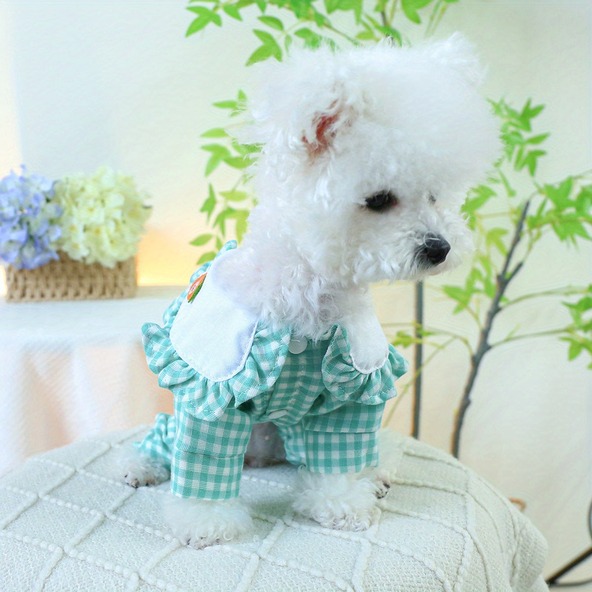 Cute Comfort, Adorable Carrot Rabbit Couple-Themed Green Plaid Jumpsuit for Small Dogs - Cozy Knit Pet Apparel for Spring & Autumn