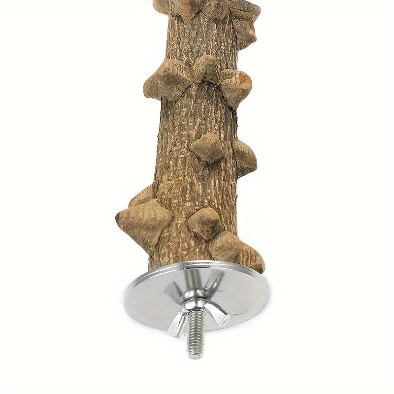 5pcs Natural Wood Bird Perch Set, Durable Grape Wood and Cassia Bark for Parakeets, Sun Conures, Lovebirds, and Small to Medium Species, Bite-Resistant Bird Cage Accessories