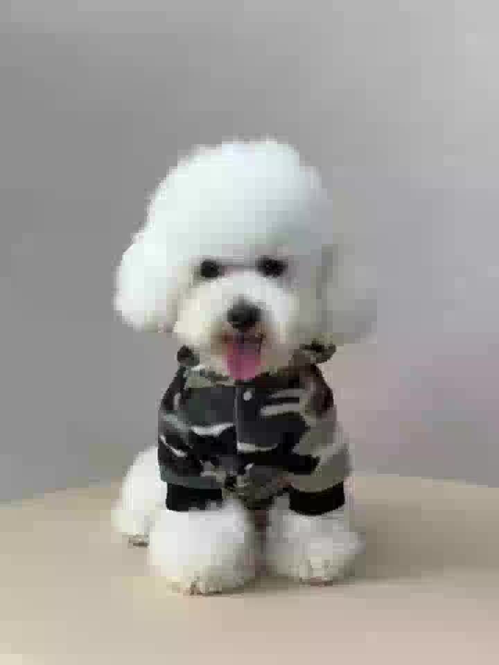 BABANY BEBE Dog Hooded Jacket - Camouflage Print Winter Coat for Small to Medium Dogs, Warm Outdoor Pet Apparel with Snap Buttons, Hand Wash Only, Stylish Fall & Winter Dogwear, Dog Winter Jacket, Cozy Dogwear, Durable Dogwea