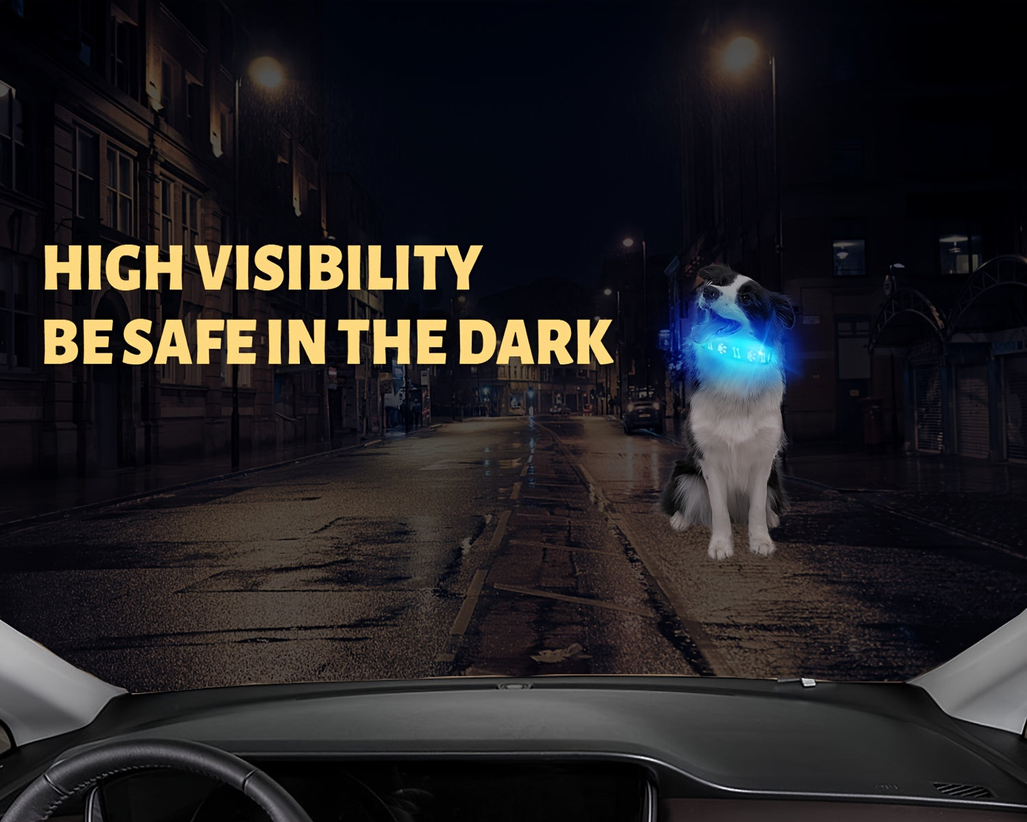 LED Dog Collar