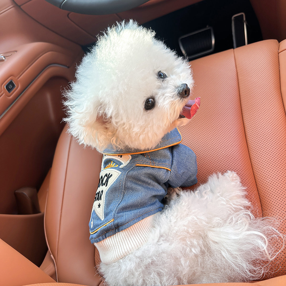 Chic Denim Dog Jacket for Small Breeds - Cozy & Stylish Pet Apparel with Snap Closure, Perfect for Fall/Winter