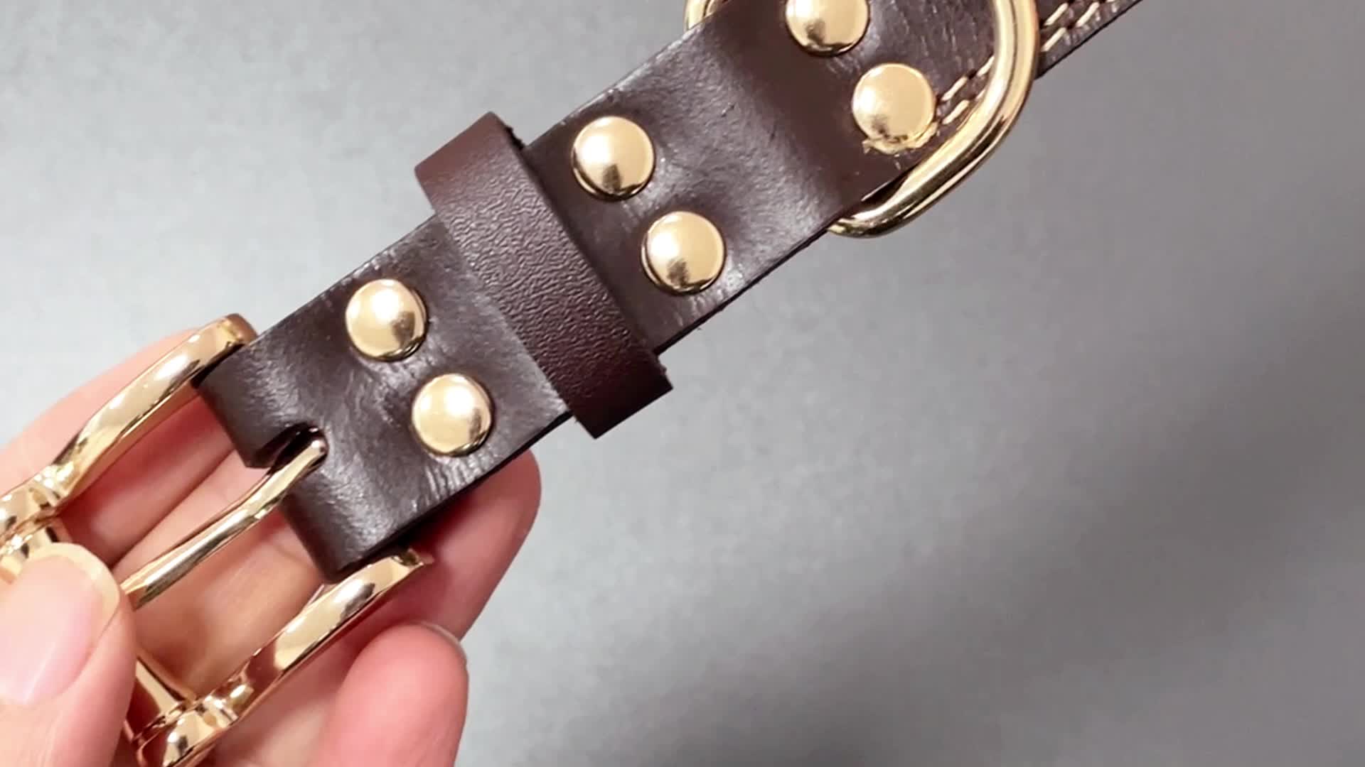 Personalized Dog Collar with Custom Engraving, Adjustable Pet Collar with Durable Buckle, Elegant Accessory for Small to Large Dogs