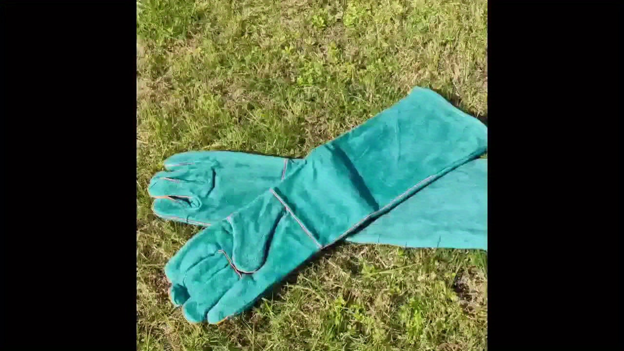 Premium Pet Grooming Gloves - Comfortable, Bite & Scratch Resistant | Ideal for Dogs & Cats, Green with Yellow Stitching