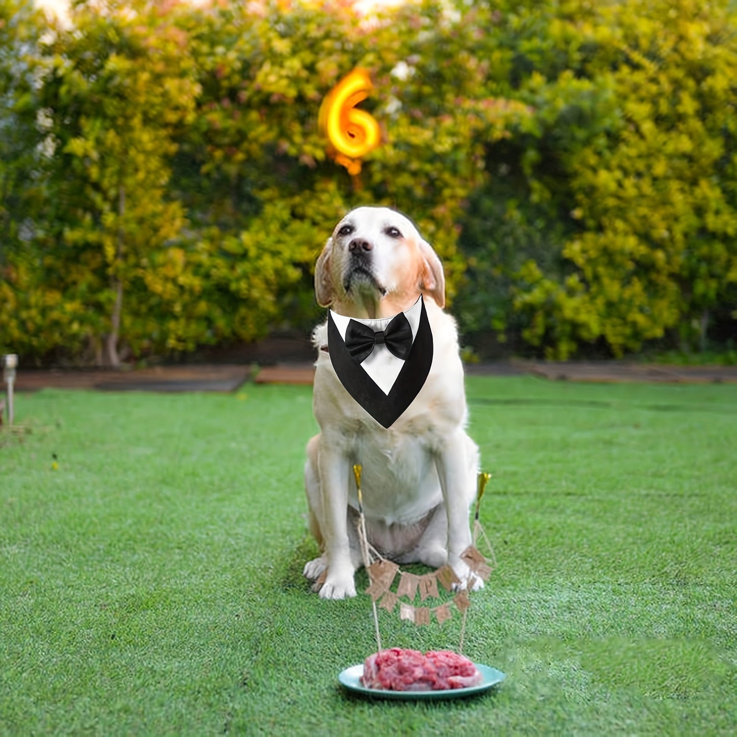 Elegant Dog Tuxedo Bandana with Bowtie Collar - Formal Pet Wedding Scarf, Adjustable Party Tails Suit, Ideal for Small to Medium Breeds, Polyester Dog Birthday Attire, Valentine's Day Costume for Pets
