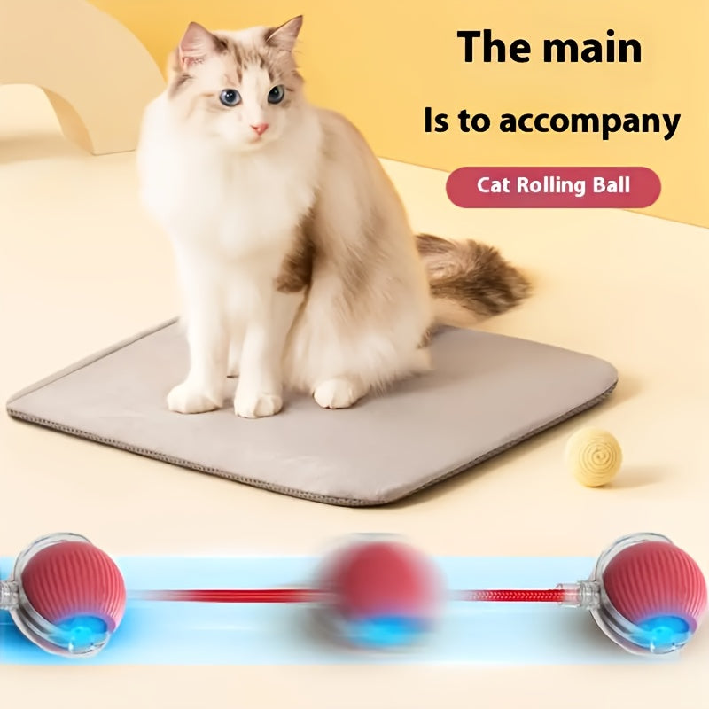 Interactive Pet Toy - 1pc Striped Silicone Magic Ball, USB Charging, Automatic Rolling, Cartoon Design for Small Dogs & Cats