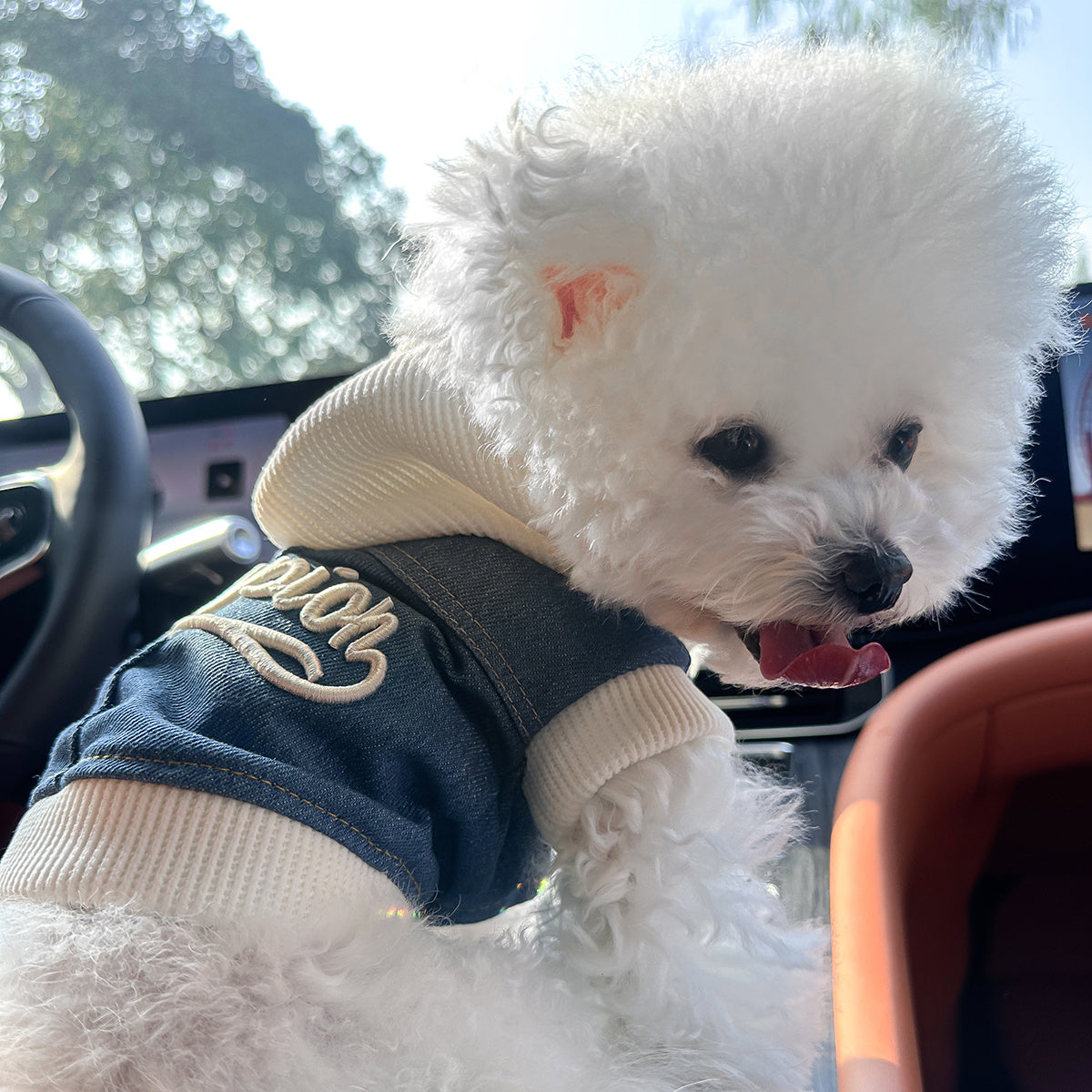 Chic Denim Dog Jacket for Small Breeds - Cozy & Stylish Pet Apparel with Snap Closure, Perfect for Fall/Winter