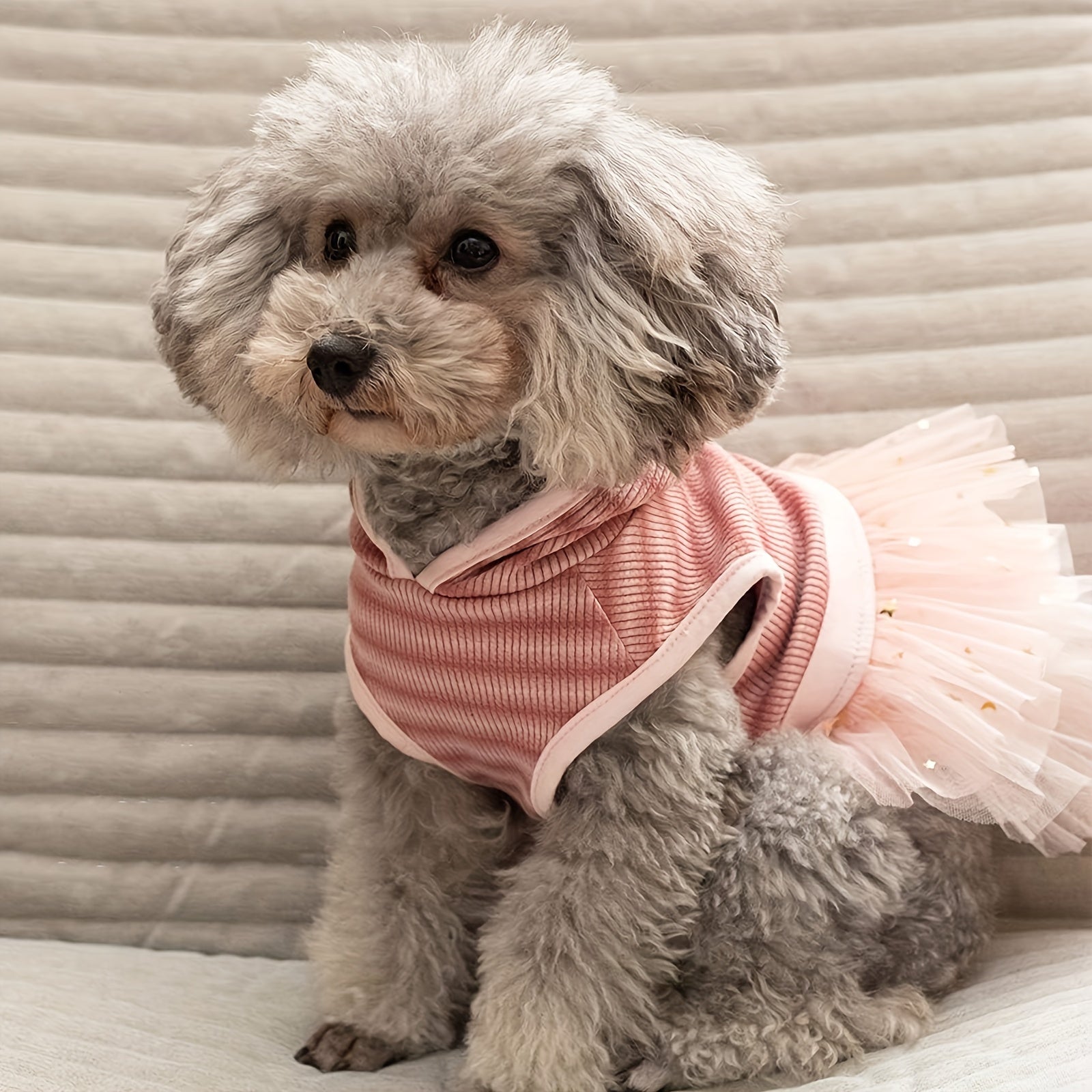 Chic Striped Dog Dress with Hood & Reflective Star Accents - Soft, Comfortable Pullover Pet Apparel for Small Breeds, Machine Washable - Sizes XS to XL