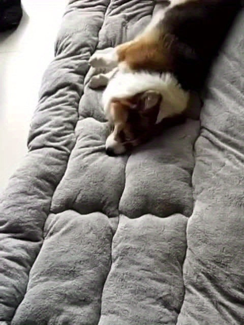 Extra-Large Plush Dog Sofa Bed