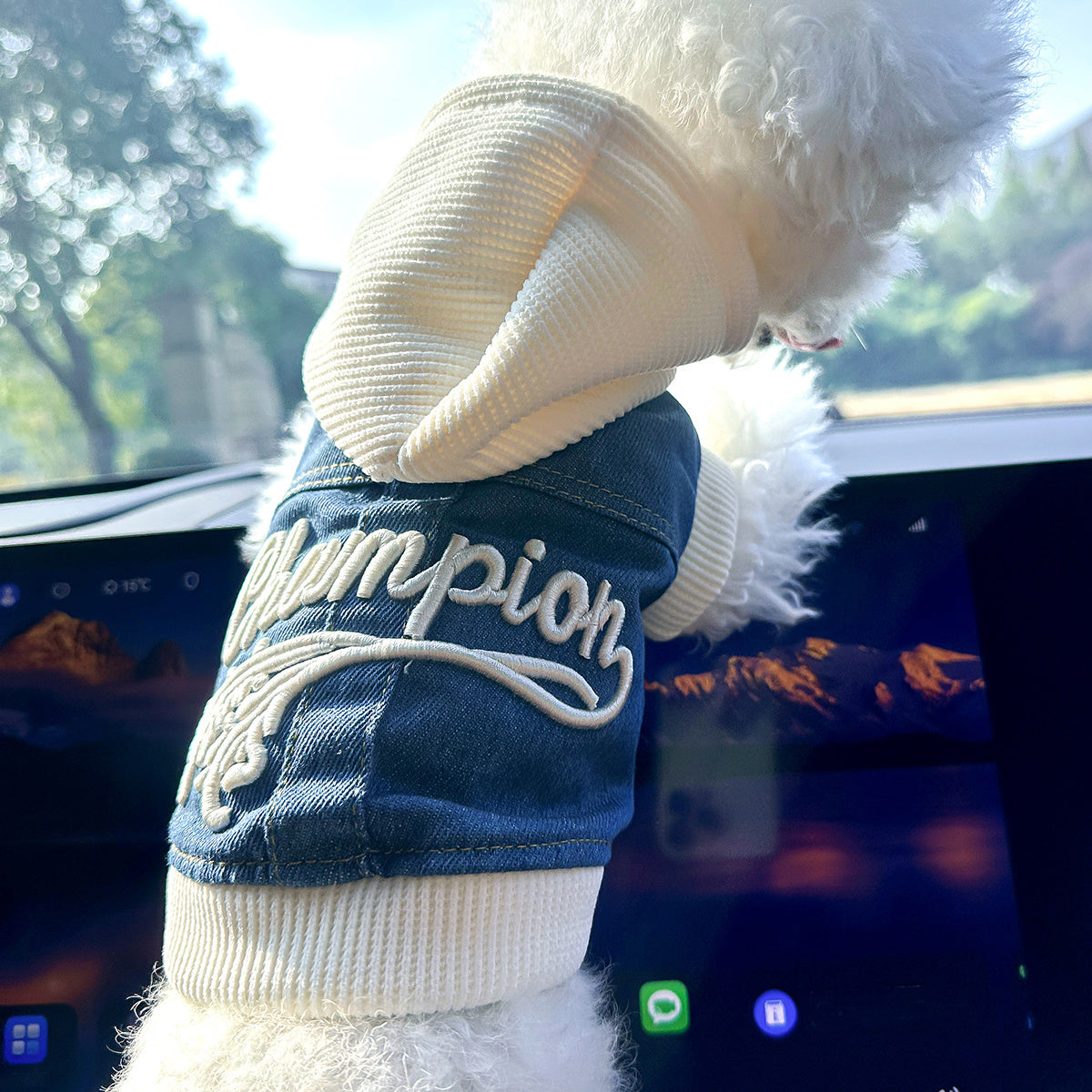 Chic Denim Dog Jacket for Small Breeds - Cozy & Stylish Pet Apparel with Snap Closure, Perfect for Fall/Winter