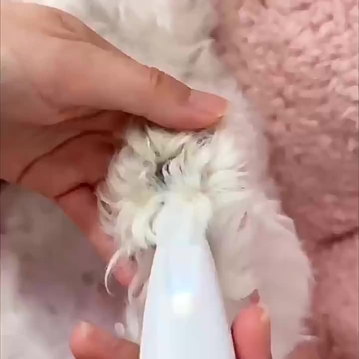 Gentle & Safe Electric Scissors for Dogs and Cats - Quiet Pet Grooming with LED Light - USB/Battery Powered, Rechargeable Lithium Battery, Dual-Mode Trimming