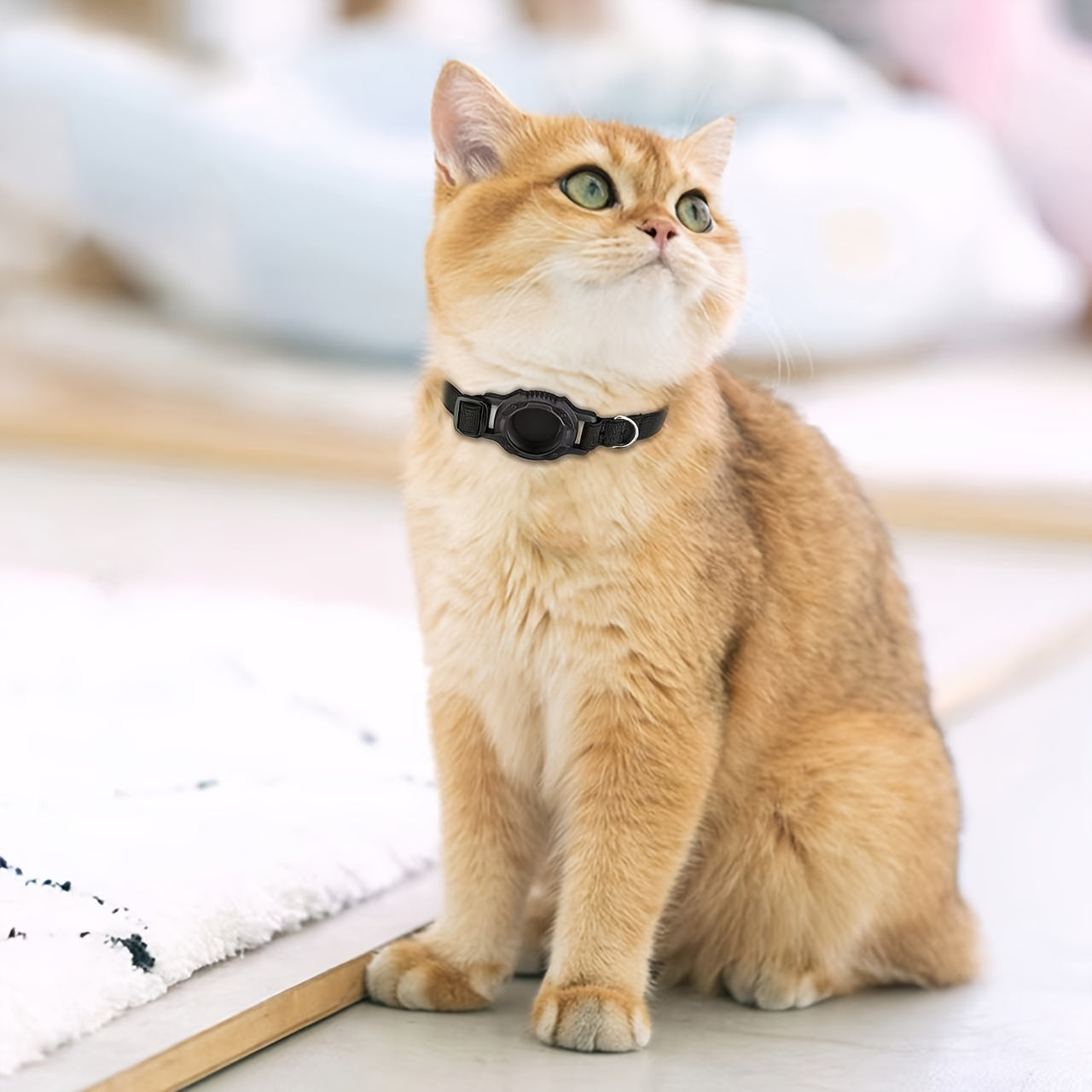1PC Cat Collar with Locator Slot - Anti-Lost Tracking Holder - Durable ABS Material Accessory for All Breeds - Lightweight Adjustable Pet Collar with GPS Tracker Compartment