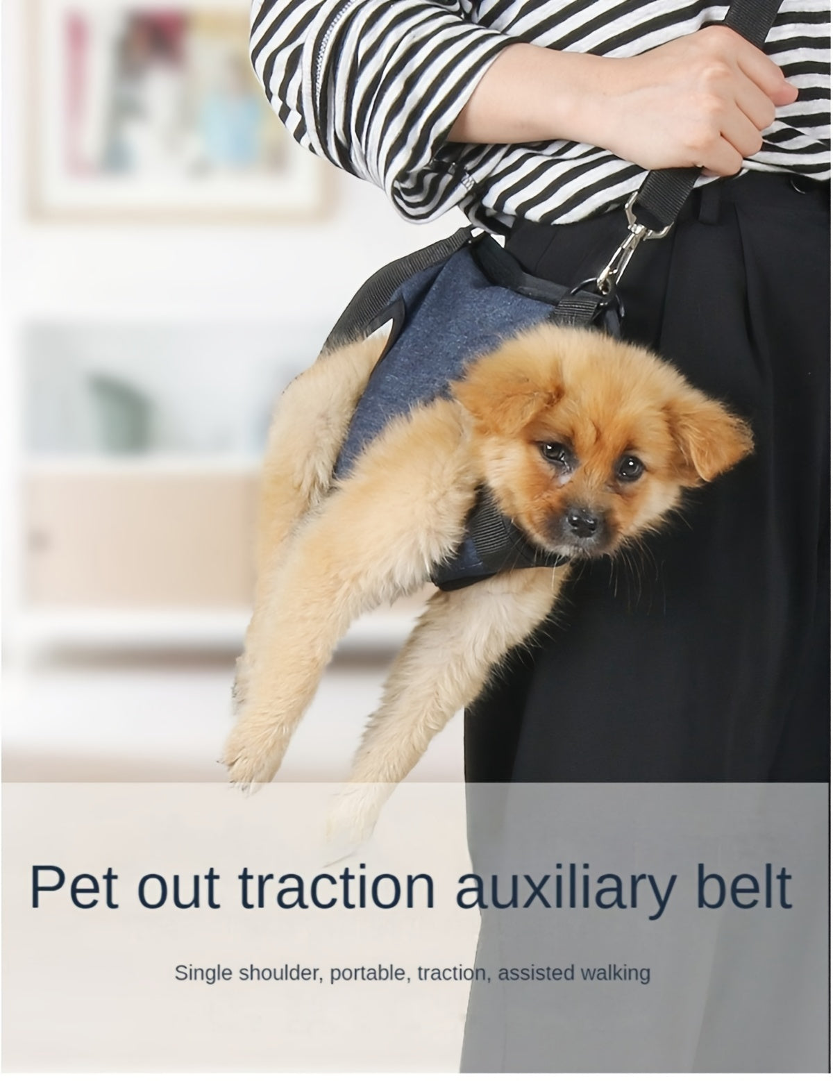 Dog Harness, Portable Dog Harness For Small Dogs, Hind Leg Support Pet Harness, Vest Adjustable Breathable Straps For Dog Walking, Without Battery