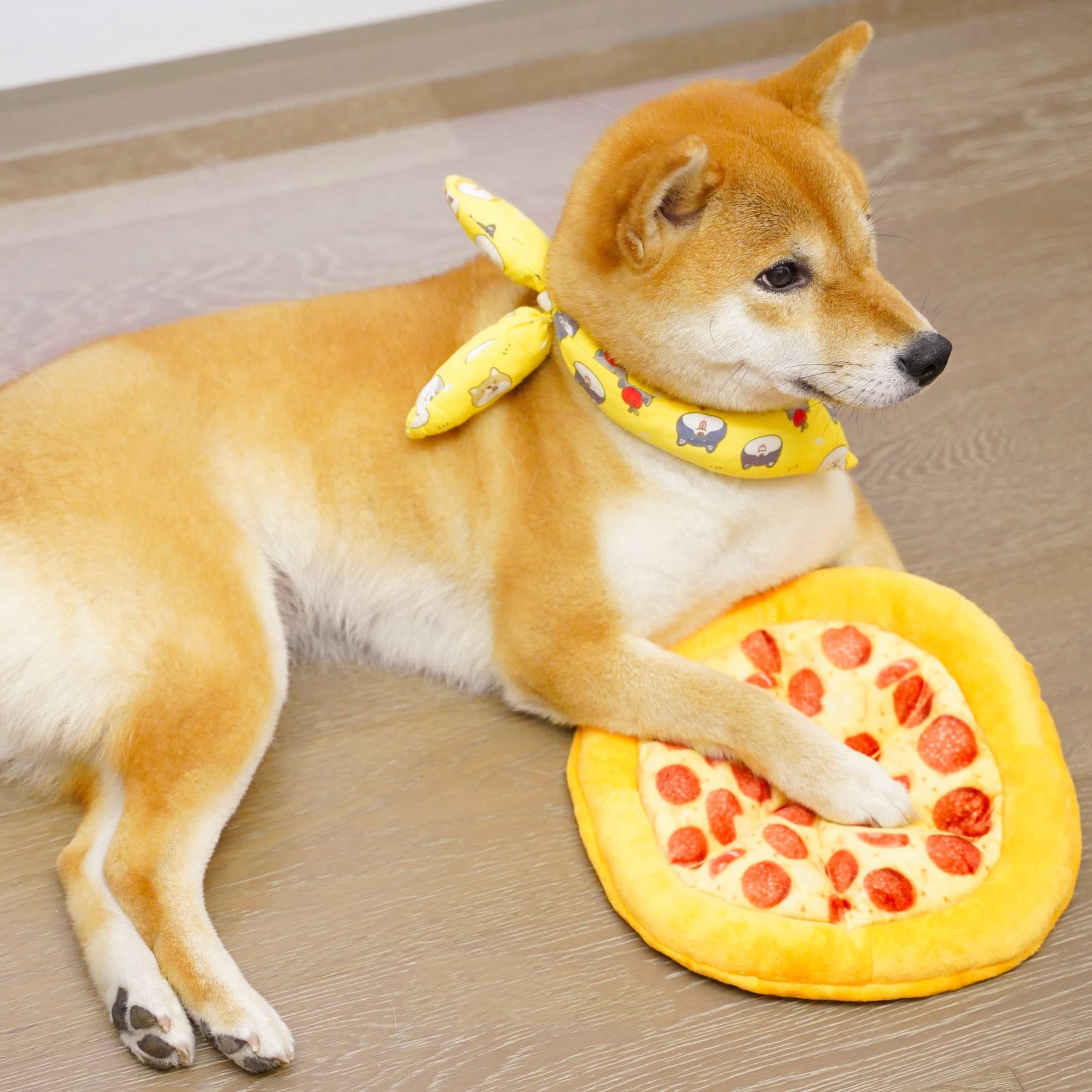 1pc Interactive Pizza-Shaped Plush Chew Toy for Dogs, Durable Squeaky Pet Toy for Interactive Play