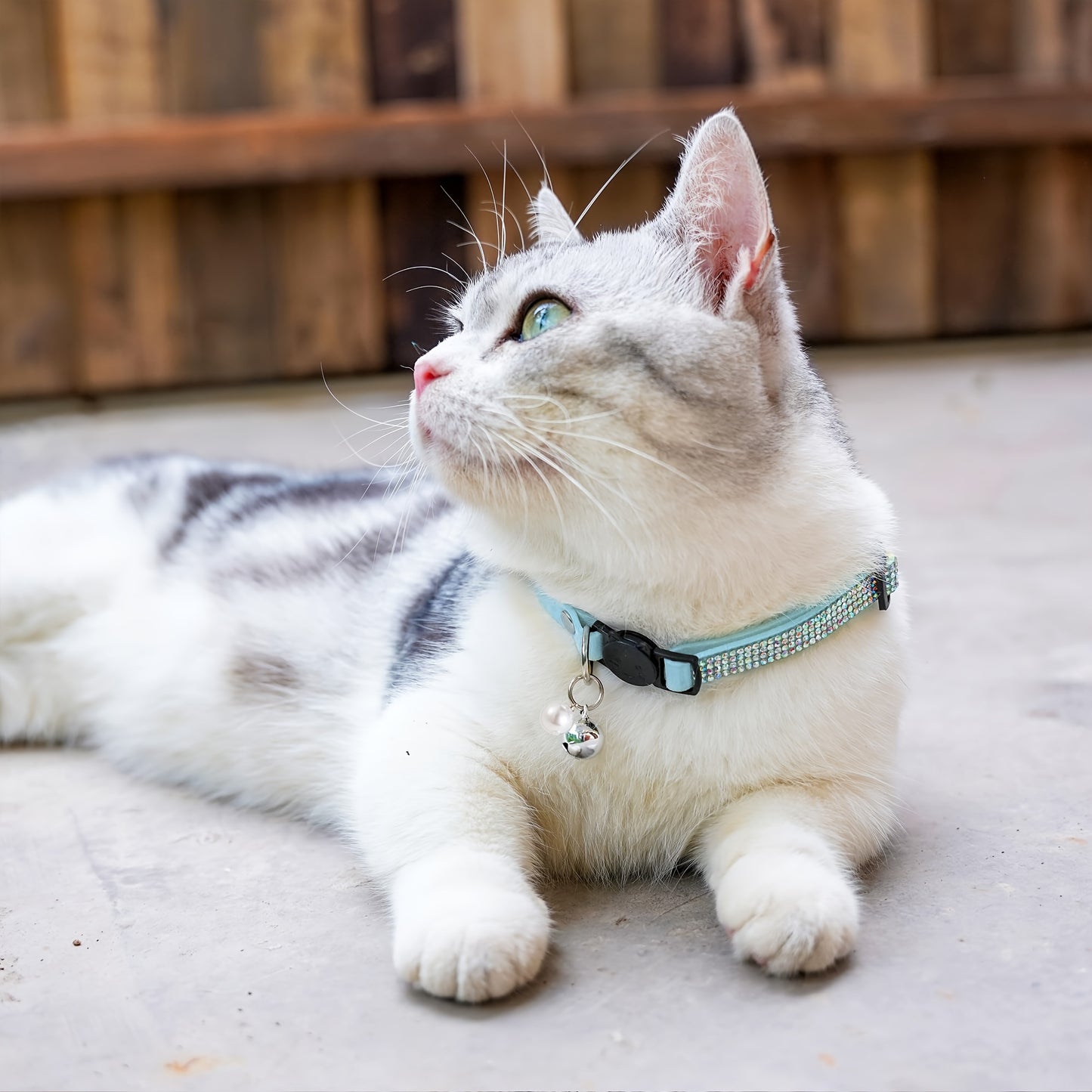 Rhinestone Cat Collar Breakaway with Bell, Precious Stone Cat Collar with Safety Buckle Quick Release for Individual Boy Small Kitten Pets Puppy, Cute Soft Female Male Cat Collars