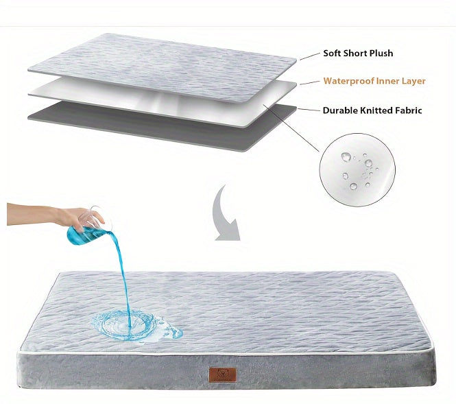 Large Orthopedic Dog Bed