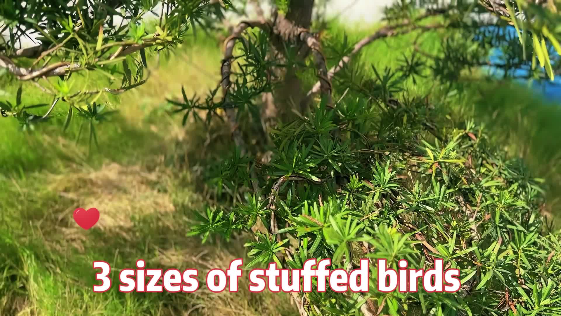 1pc Adorable 7.87in Lifelike Pigeon Plush Toy - Soft, Cuddly, and Realistic Bird Stuffed Animal Doll with Vivid Eyes and Feathers - Perfect Gifts for Kids, Children, and Pigeon Lovers
