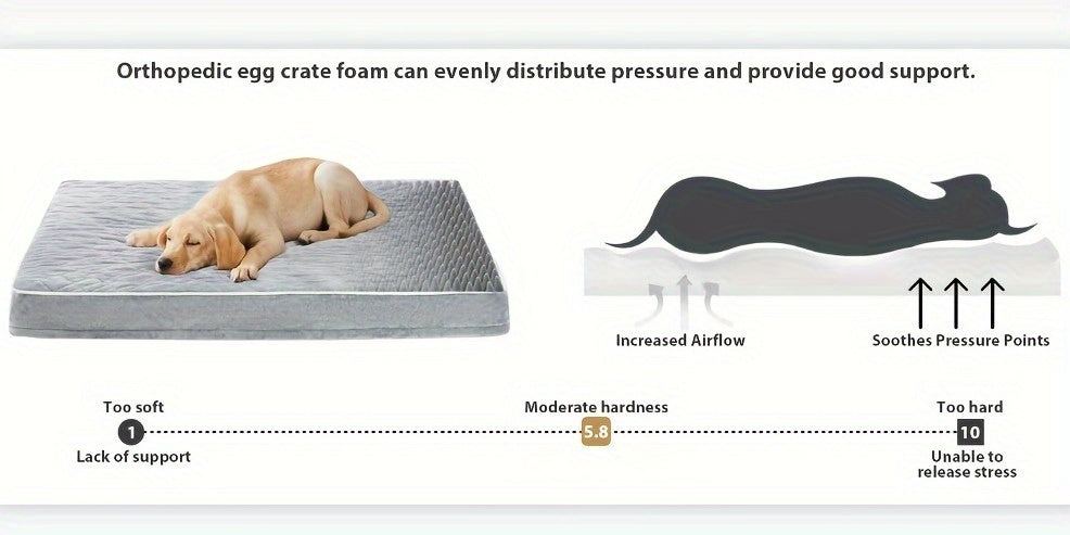 Large Orthopedic Dog Bed