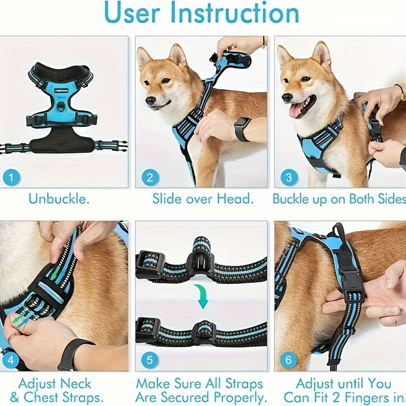 dog harness and leash set