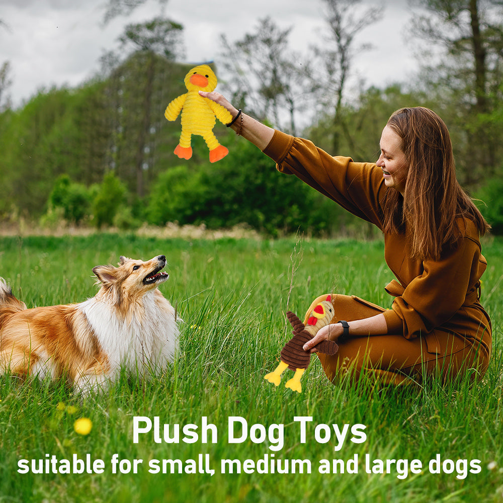 Dog Toys, 5 Pack, Plush Dog Squeaky Toys, Assortment Animal Pet Toys for Small Medium Large Dogs, Stuffed Puppy Chew Toy, Dog Gift Toys