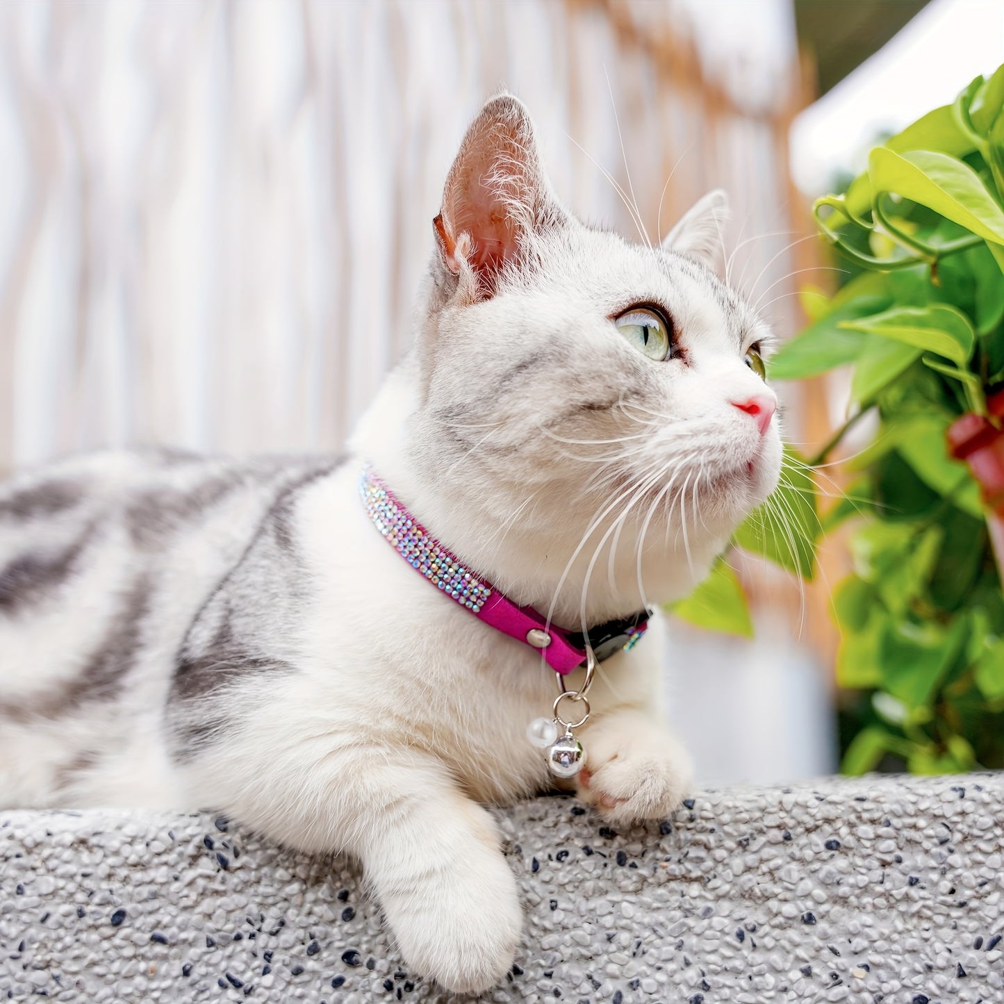 Rhinestone Cat Collar Breakaway with Bell, Precious Stone Cat Collar with Safety Buckle Quick Release for Individual Boy Small Kitten Pets Puppy, Cute Soft Female Male Cat Collars