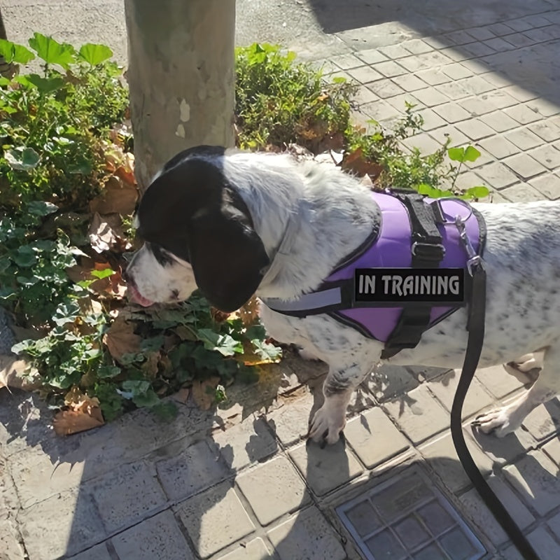 Dog Harness Adjustable Pet Vest Reflective No Pull Pet Harness With Breathable Mesh Easy Walk Pet Vest With Handle For Outdoor Walking