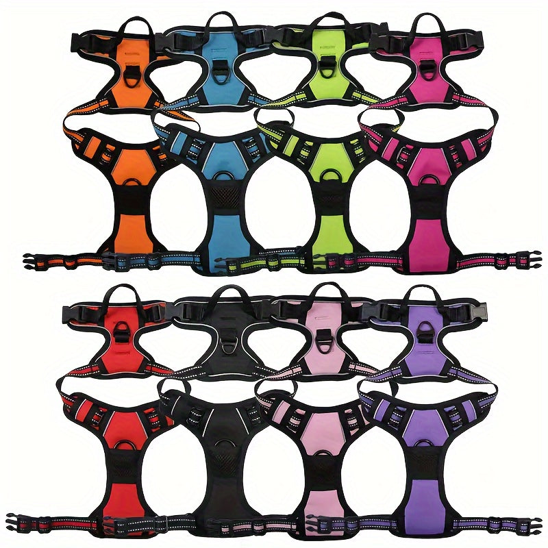 dog harness and leash set