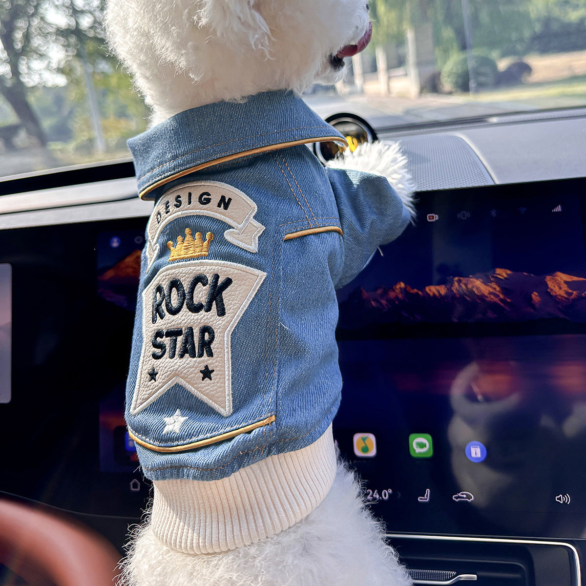 Chic Denim Dog Jacket for Small Breeds - Cozy & Stylish Pet Apparel with Snap Closure, Perfect for Fall/Winter