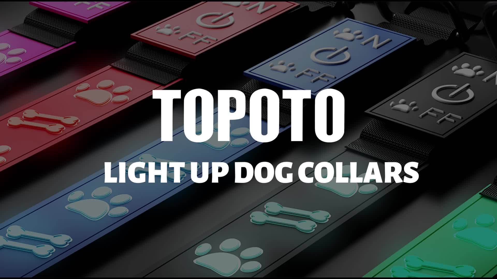 LED Dog Collar
