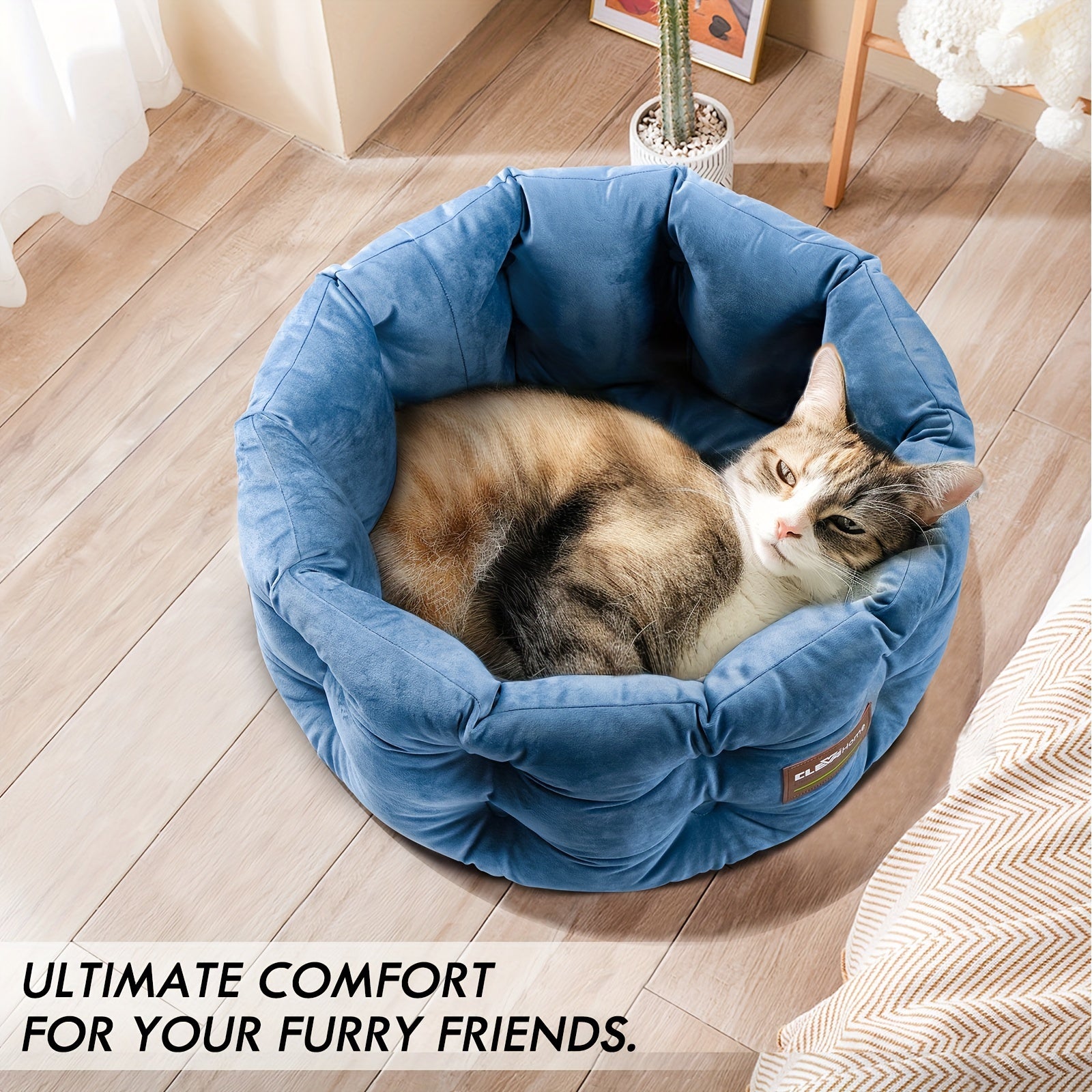 ClevaHome Deep Nest Cat Bed for Small Pets up to 15lbs - Round Cat Beds for Indoor Cats, Luxurious Velvet Feel, Extra High Sides, Machine Washable Comfort Pet Bed with Non-Slip Bottom