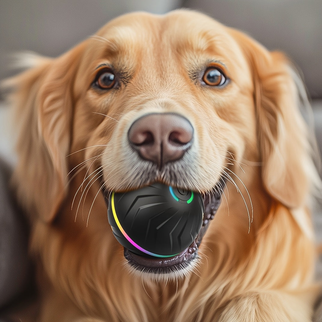 PETGRAVITY Motion-Activated Dog Bouncing Ball, 6. 6cm/2. 62in, USB Rechargeable Lithium Polymer Battery, Interactive Pet Toy for All Breed Sizes, Durable Thermoplastic Rubber, Striped Pattern