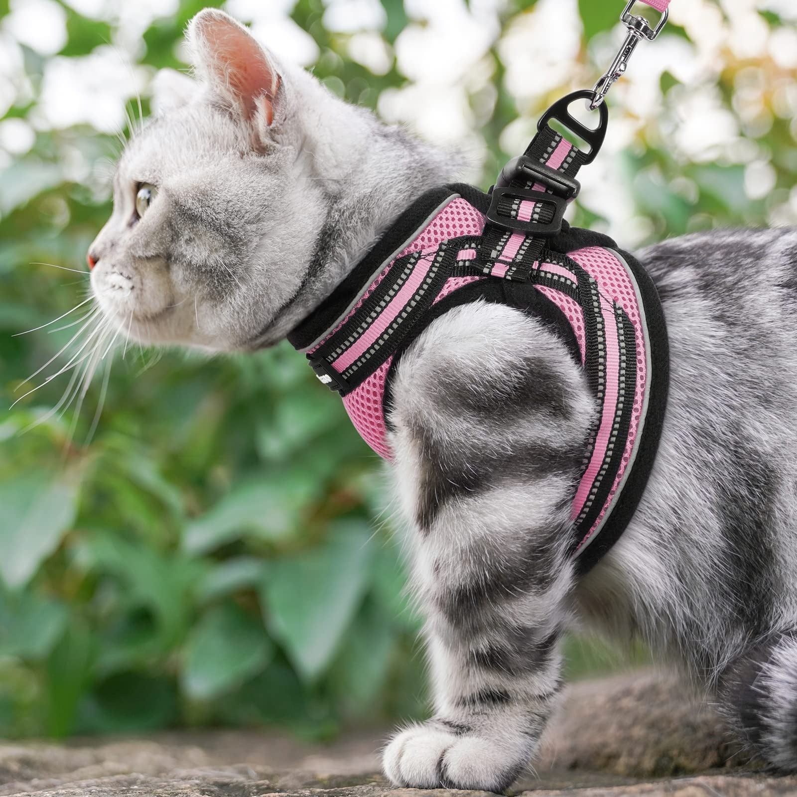 Reflective Pet Harness And Leash Set For Dogs And Cats, Adjustable Puppy Cat Vest Harness With Soft Mesh