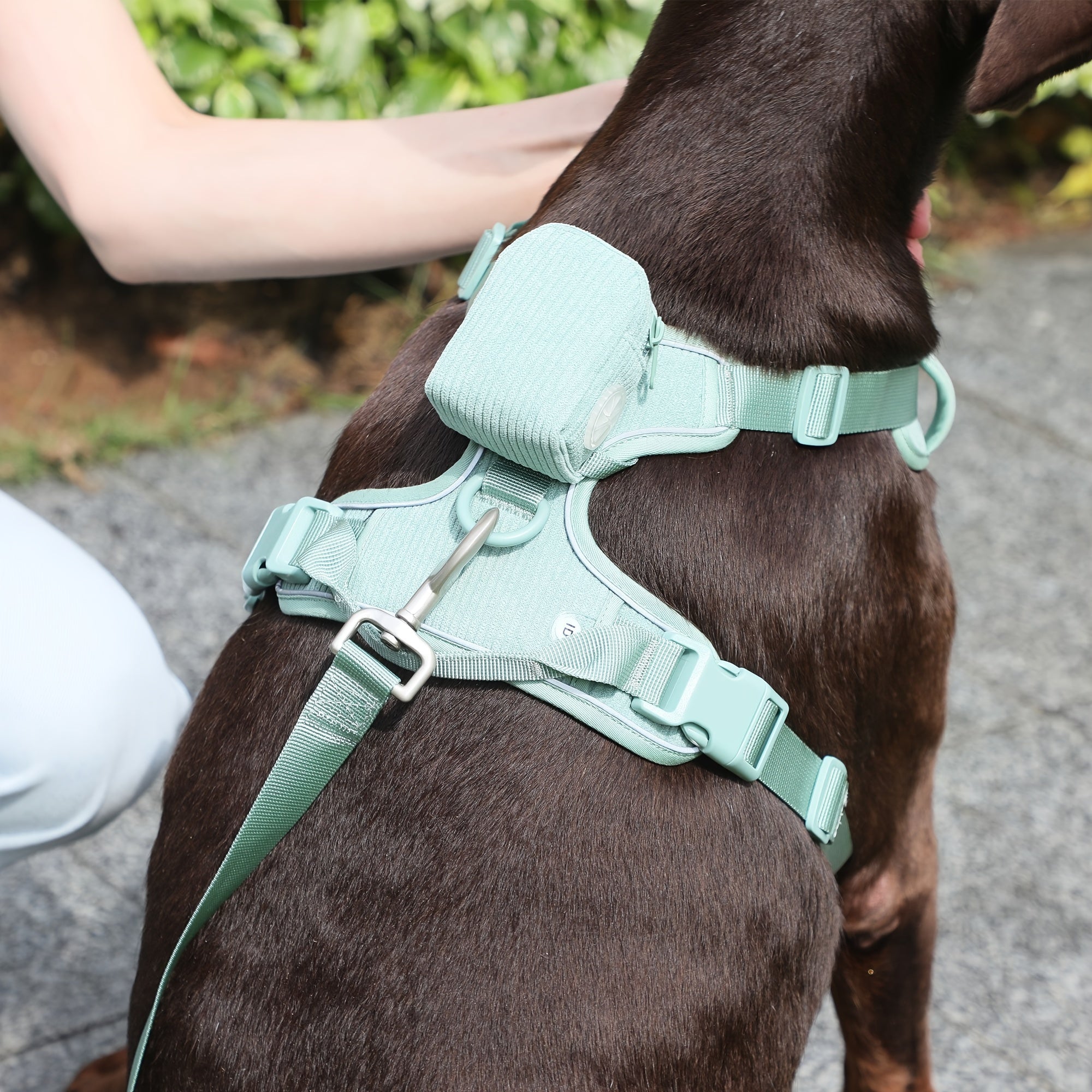 Fashionable And Cute Corduroy Pet Harness