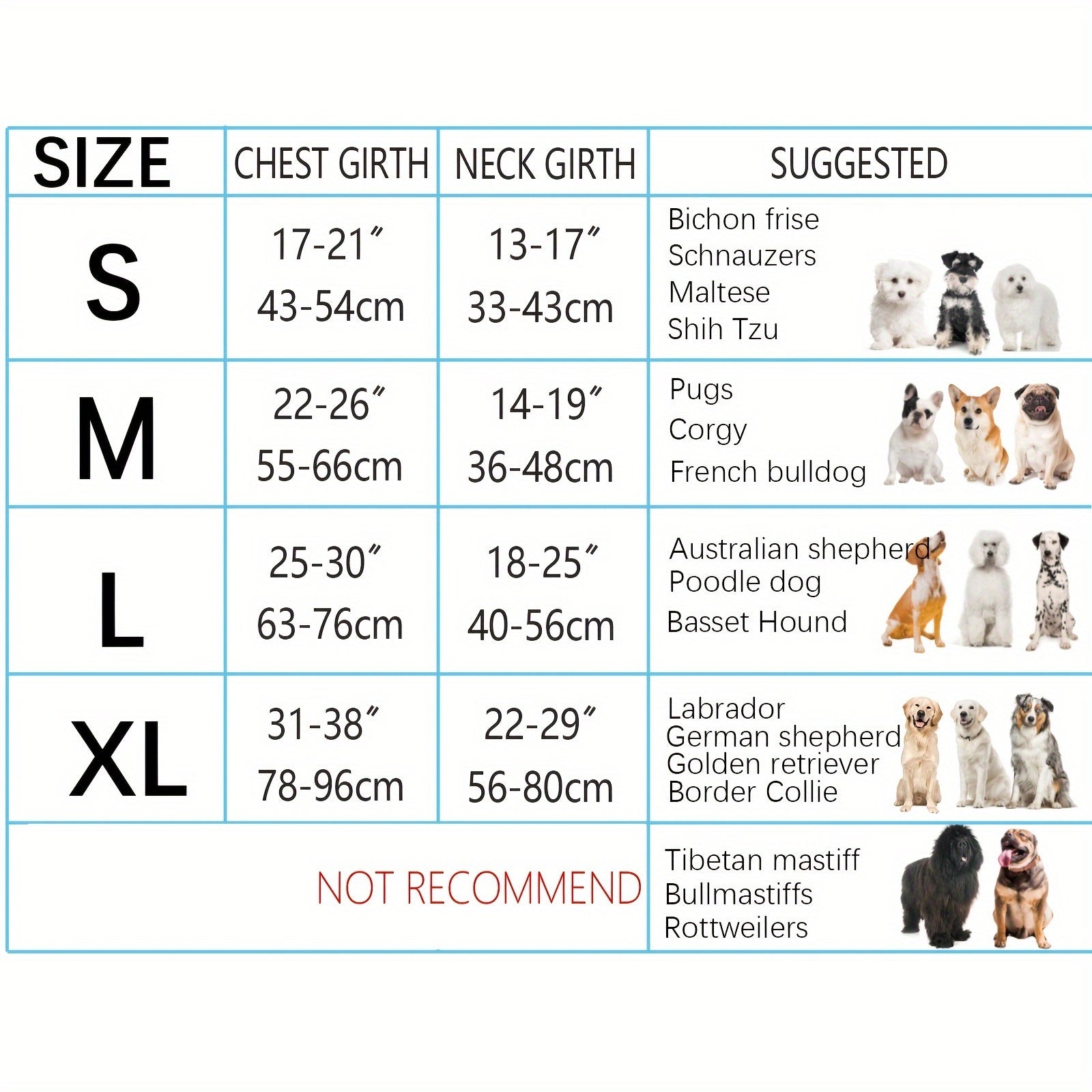 dog harness and leash set