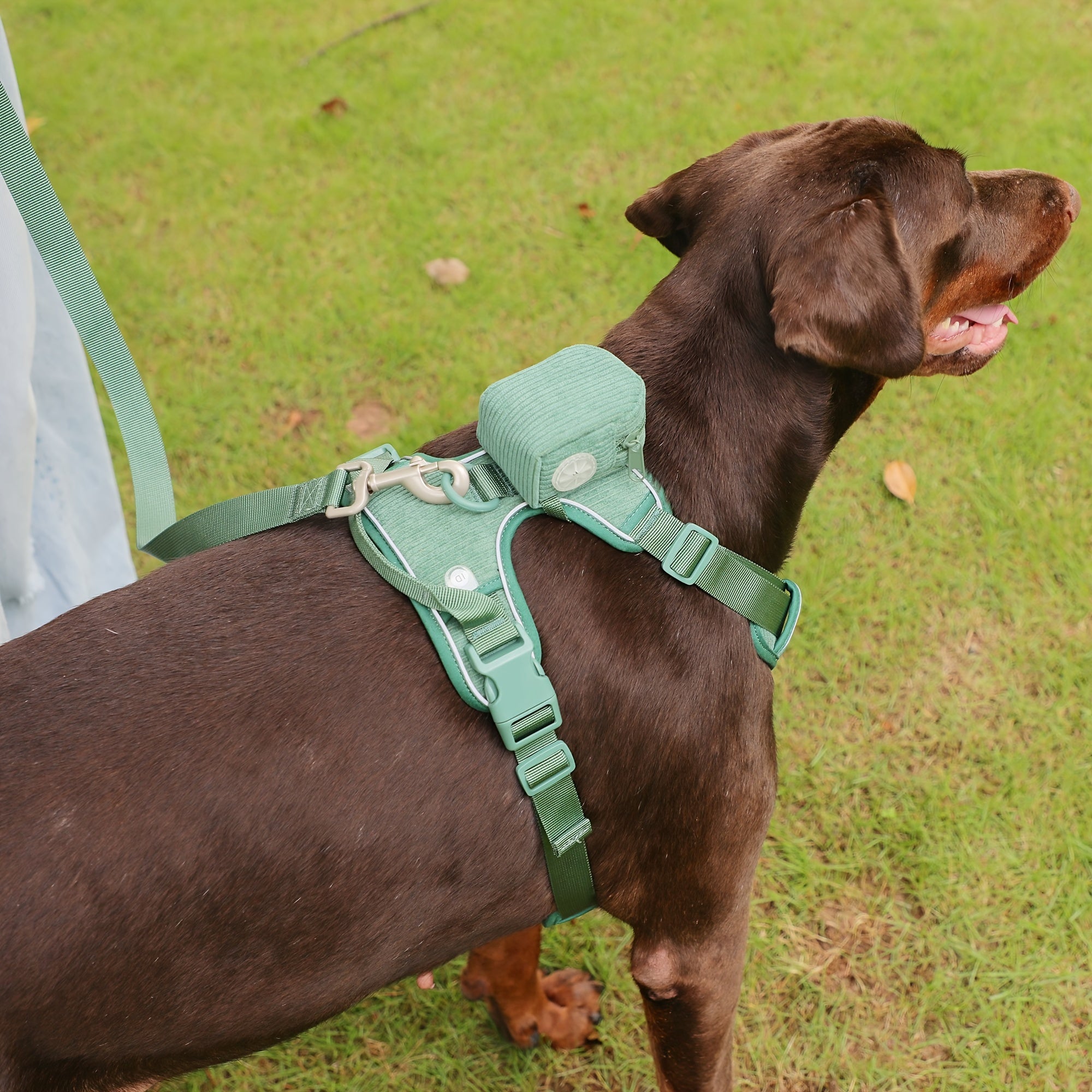 Fashionable And Cute Corduroy Pet Harness
