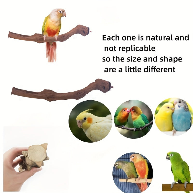 5pcs Natural Wood Bird Perch Set, Durable Grape Wood and Cassia Bark for Parakeets, Sun Conures, Lovebirds, and Small to Medium Species, Bite-Resistant Bird Cage Accessories