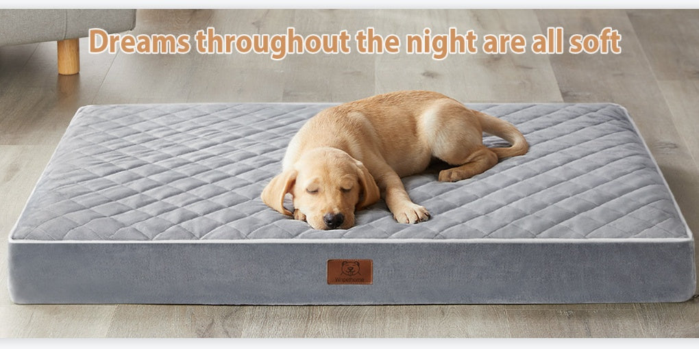 Large Orthopedic Dog Bed