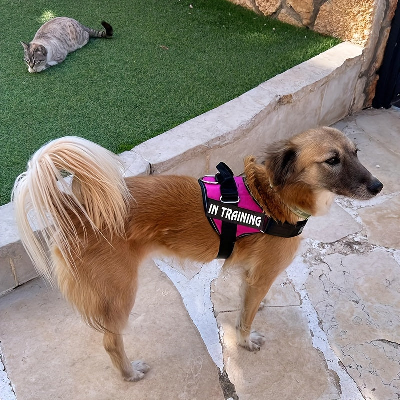 Dog Harness Adjustable Pet Vest Reflective No Pull Pet Harness With Breathable Mesh Easy Walk Pet Vest With Handle For Outdoor Walking