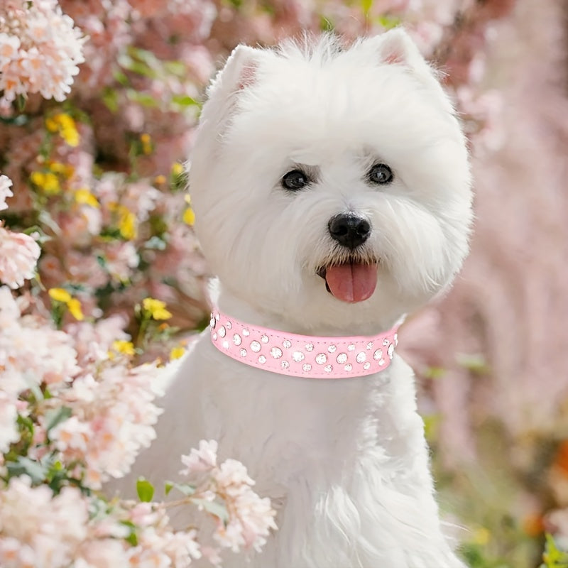 CP037D New Color Amazon Hot Pet Collar