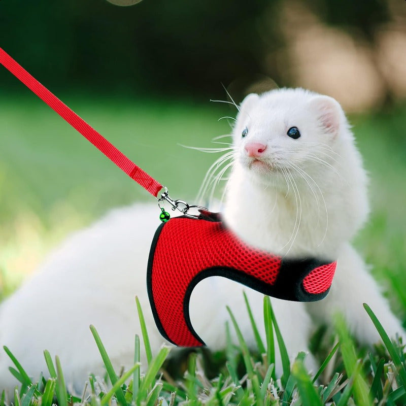 Small Animal Harness and Leash Soft Mesh Pet Harness with Safe Bell No Pull Comfort Padded Vest for Small Pet Red