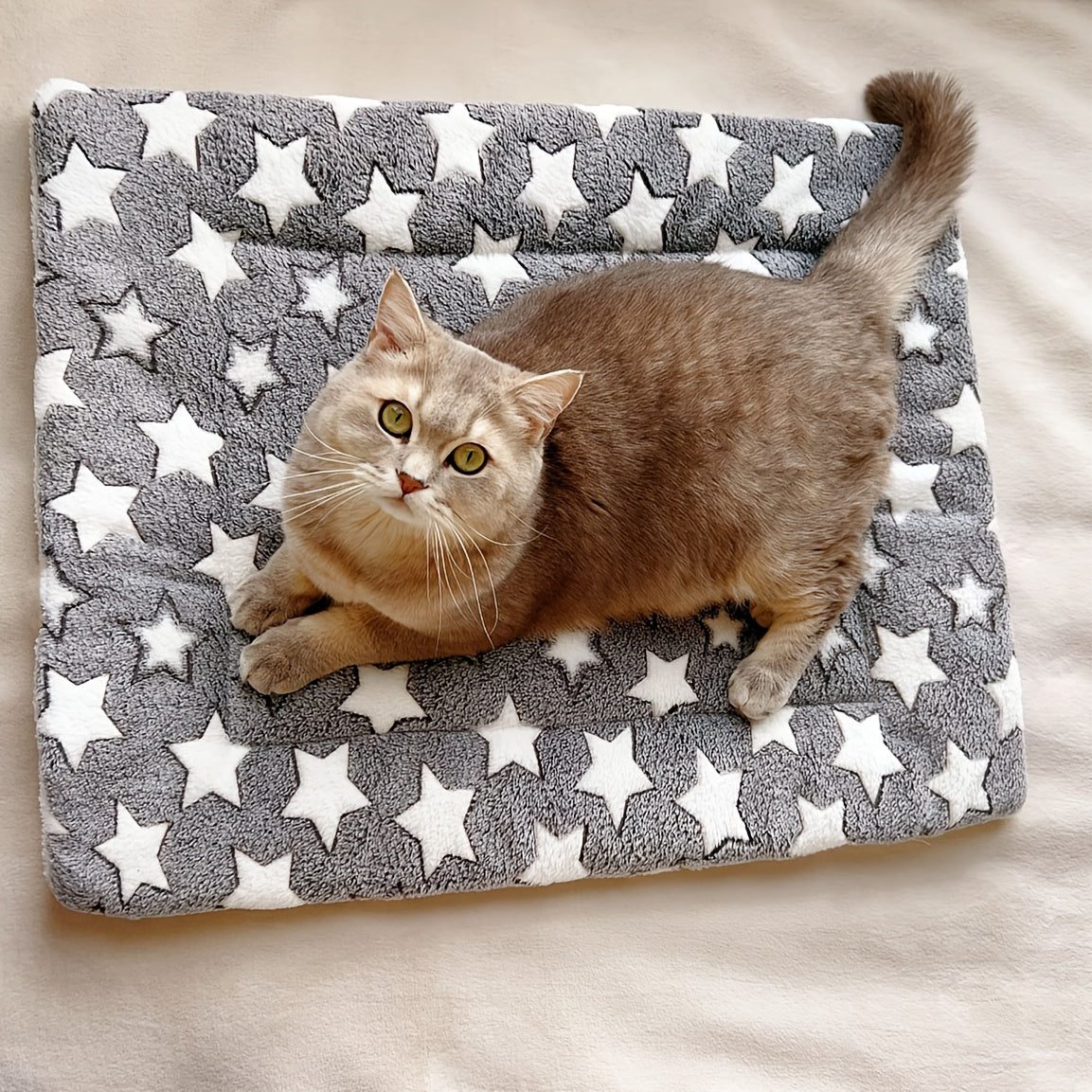Cozy Plush Dog Mat - Thick, Warm Pet Bed with Geometric Star Pattern, Gray & White, Four Seasons, Polyester Fiber Filling, Ideal for Small to Large Breeds, Dog Sleeping Mat