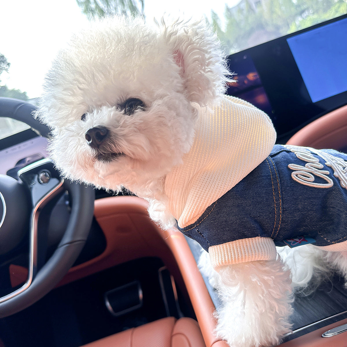 Chic Denim Dog Jacket for Small Breeds - Cozy & Stylish Pet Apparel with Snap Closure, Perfect for Fall/Winter