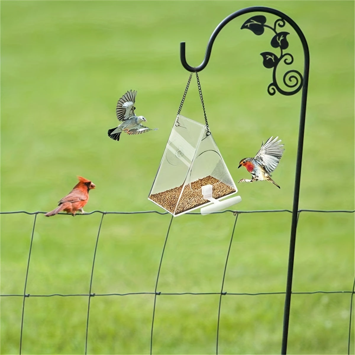 Transparent Acrylic Window Bird Feeder with Strong Suction Cup for Garden and Yard
