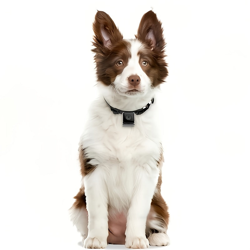 1pc Dog Collar,Dog Collar Camera with Video Record, M-Size Collar for Dogs/Big Cats,Pet Collar Camera Outdoor,Camera for Dog Collar