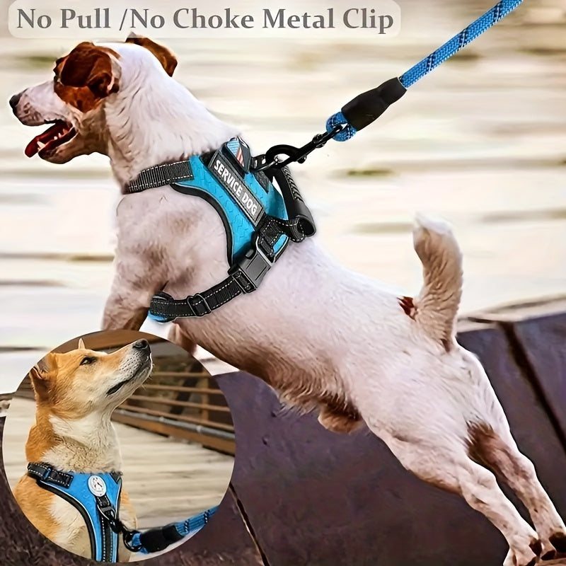 Heavy Duty Dog Harness And Leash Set With Poop Bag Dispenser And Bowl