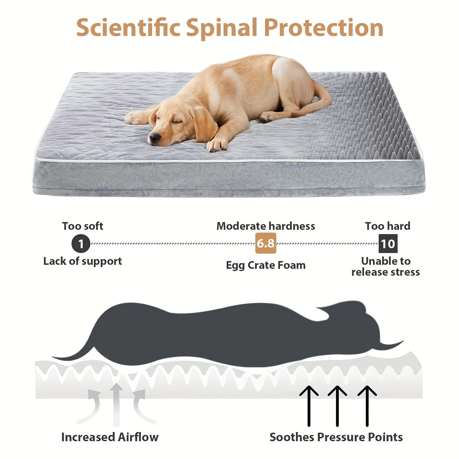 Orthopedic Memory Foam Dog Bed With Removable Washable Cover, Non-Slip Bottom - Rectangular Quilted Pet Bed For Dogs
