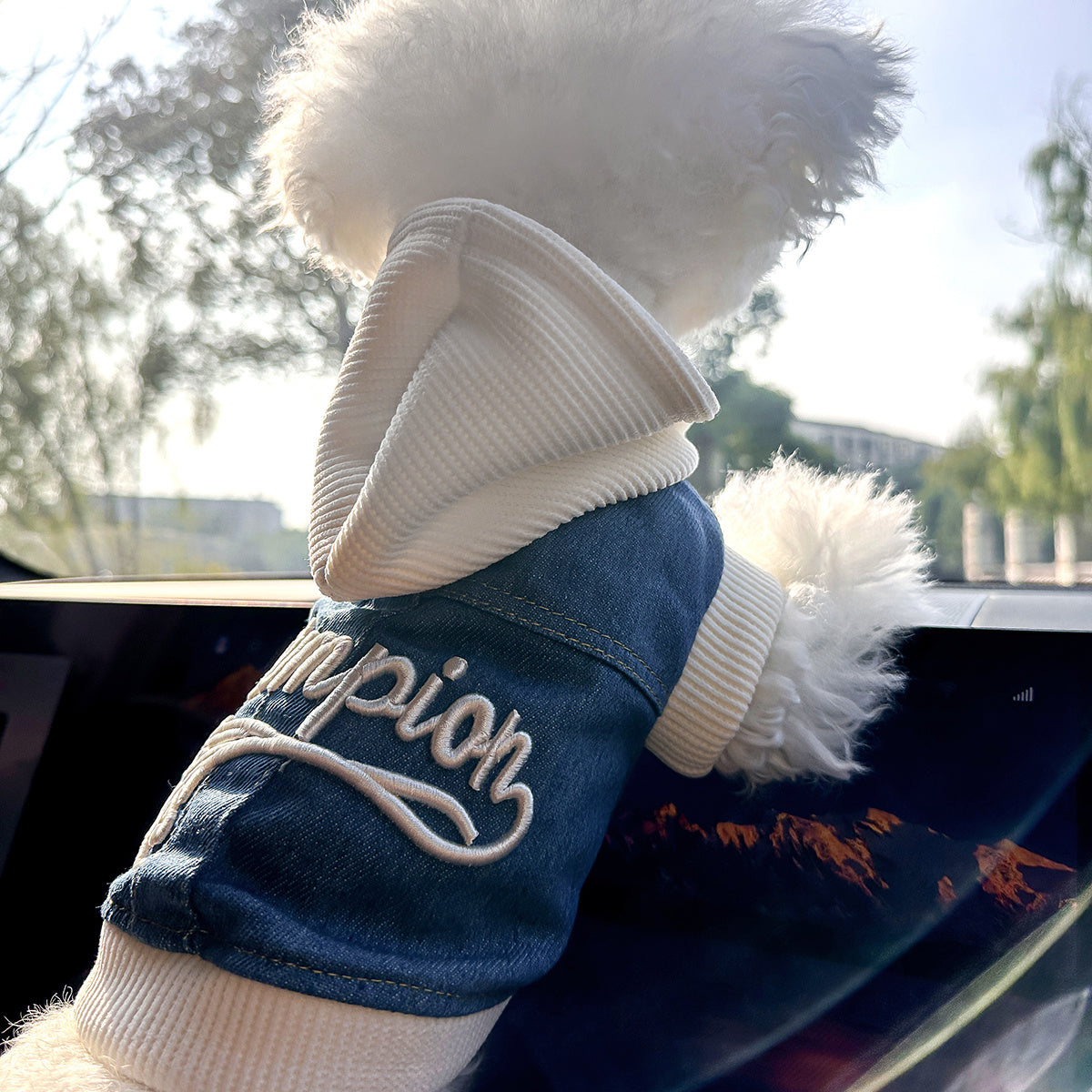 Chic Denim Dog Jacket for Small Breeds - Cozy & Stylish Pet Apparel with Snap Closure, Perfect for Fall/Winter