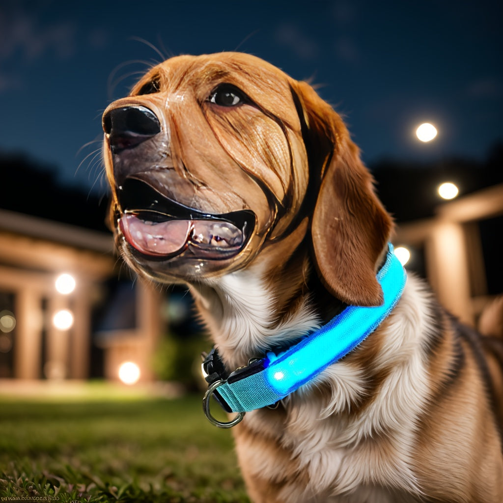 Glowing LED Pet Collar, Battery Powered, Polyester Reflective Dog Walking Necklace, Safe Voltage ≤36V, Nighttime Visibility Safety Accessory