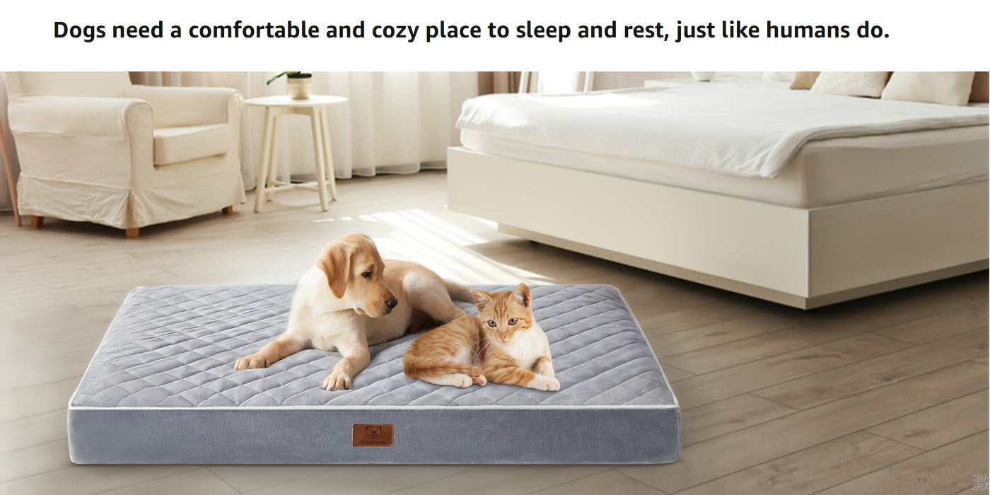 Large Orthopedic Dog Bed