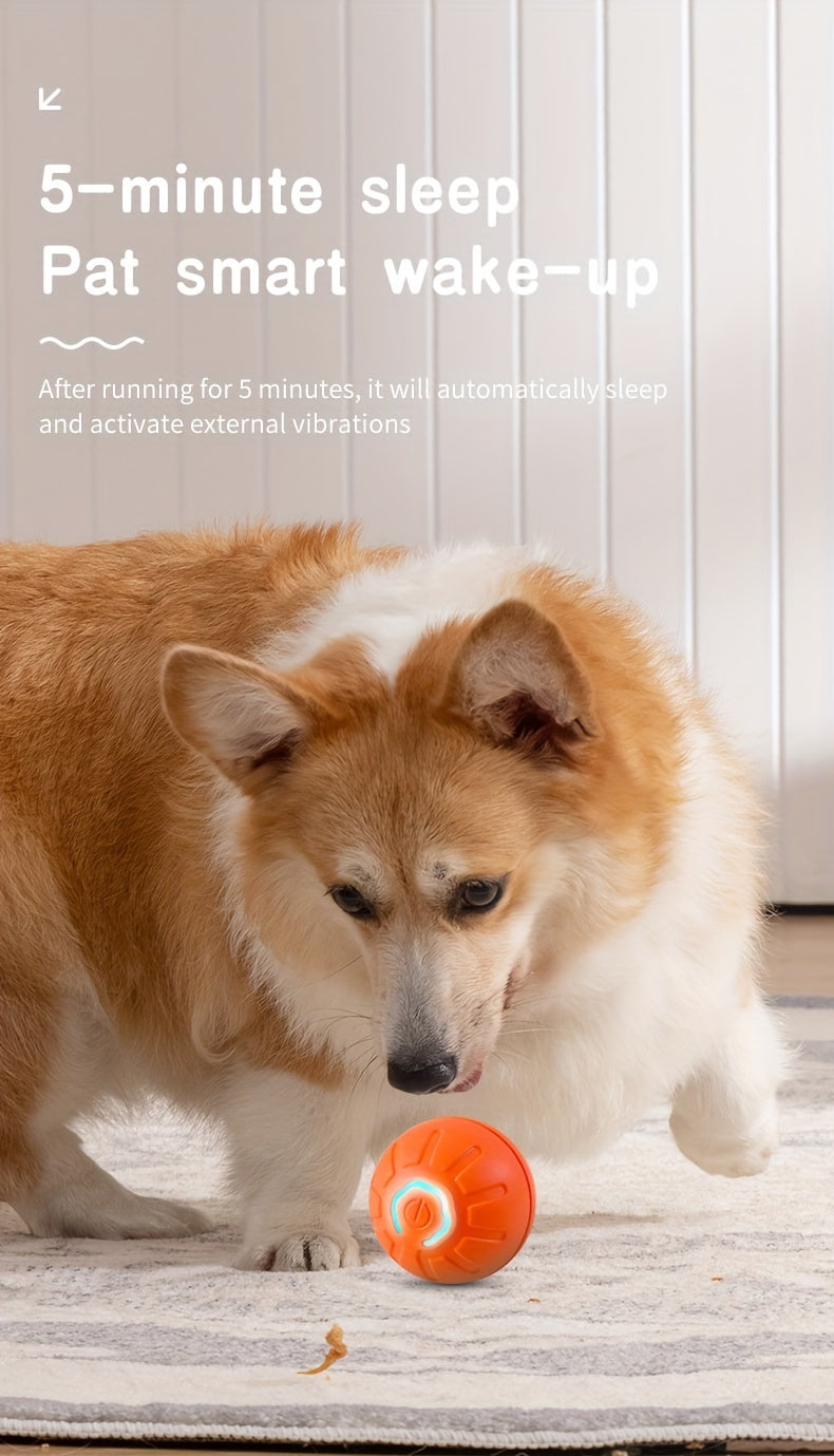 Electric smart pet, a good partner for dogs, resistant to falling and biting